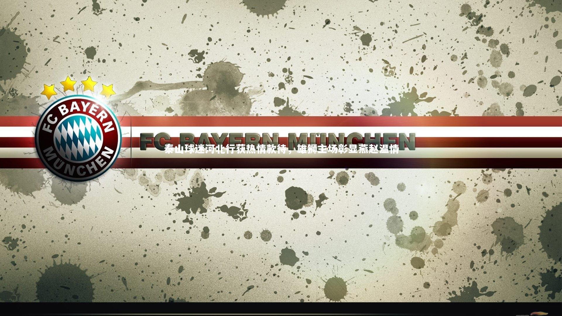 泰山球迷河北行获热情款待，雄狮主场彰显燕赵温情