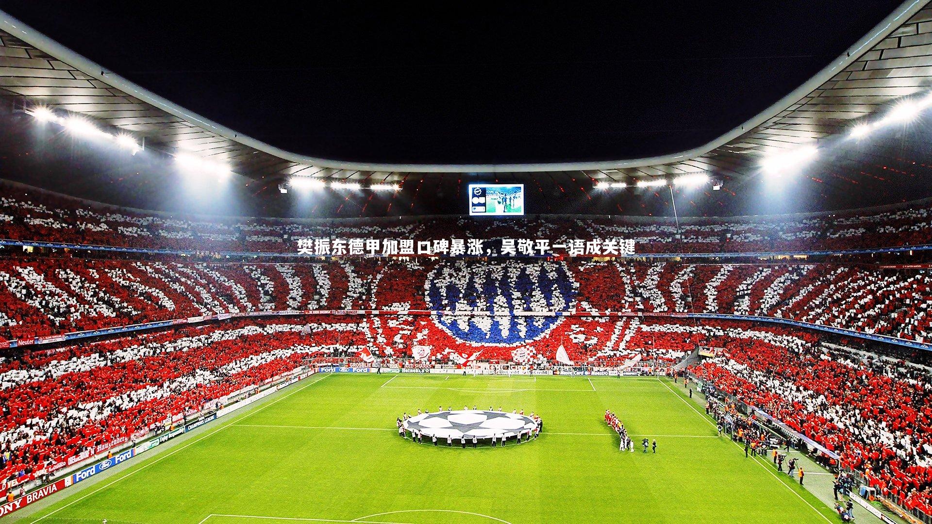 樊振东德甲加盟口碑暴涨，吴敬平一语成关键